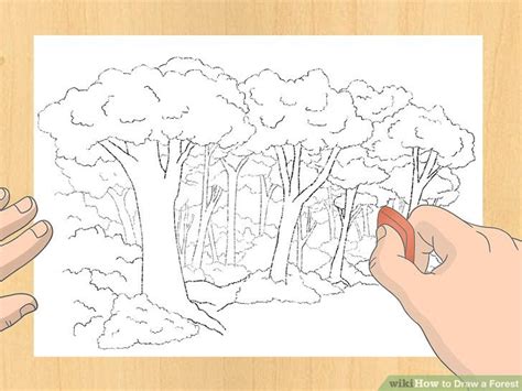 How To Draw A Forest Step By Step Easy