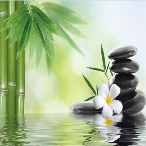 3d Bamboo Water Zen Stones Custom Wallpaper Mural Медитация Бамбук Цветок