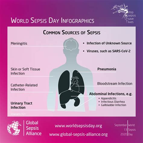 What Is Sepsis World Sepsis Day September