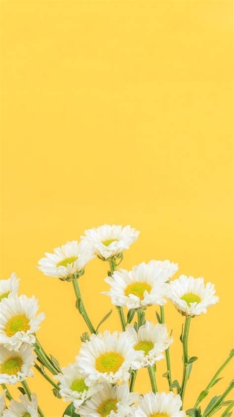 Yellow Flowers Yellow Flower Wallpaper Iphone Wallpaper Yellow Yellow