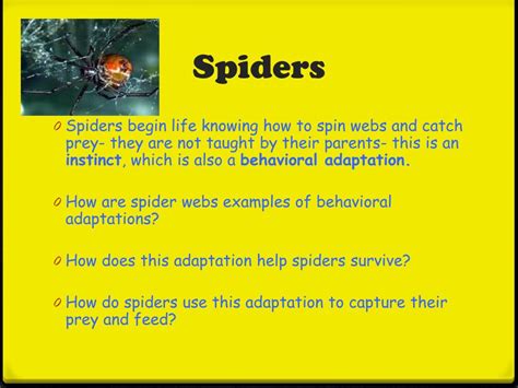 Ppt Behavioral Adaptations Powerpoint Presentation Free Download