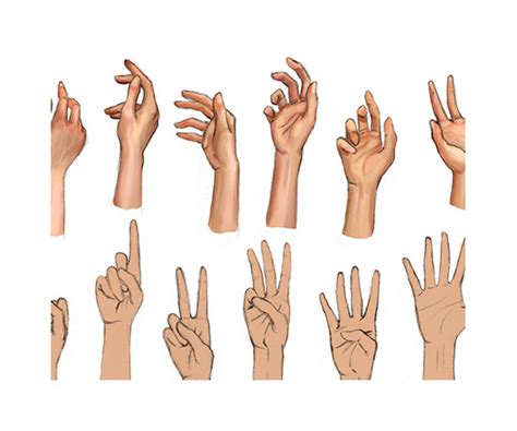Hand Poses To Draw