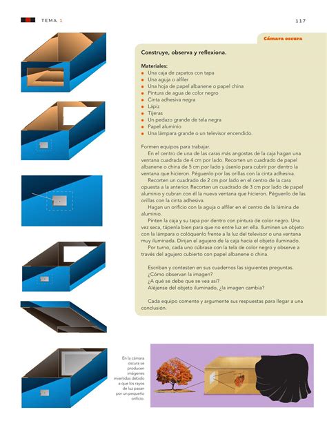 Cuestionario ciencias naturales quinto grado bloque ii 1. Ciencias Naturales Sexto grado 2016-2017 - Online | Libros de Texto Online | Página 117