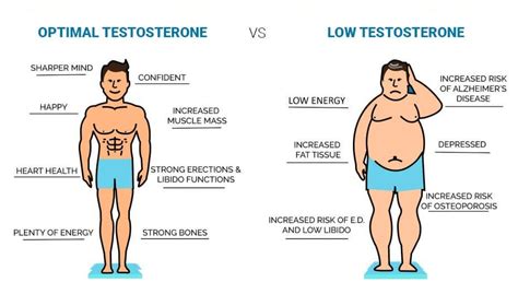 11 Proven Ways To Increase Testosterone Levels Naturally