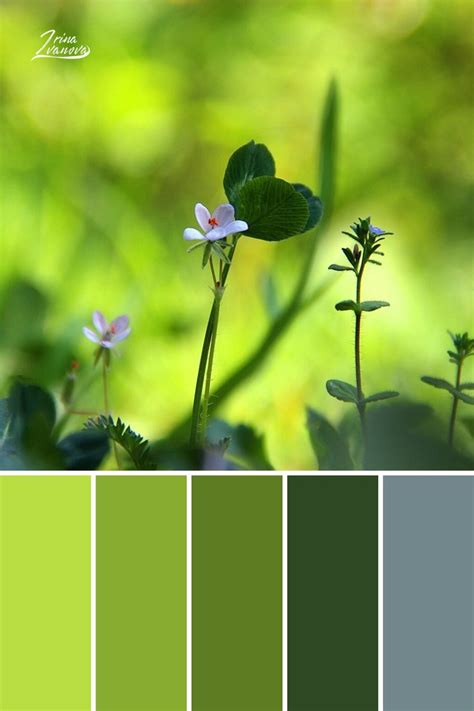 Previous studies of preference for and harmony of color combinations have produced confusing results. Color palette combinations design | Aesthetic colors ...