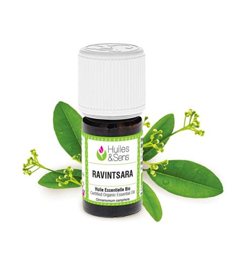 Ravintsara Organic Essential Oil Cinnamomum Camphora L