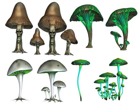 Magic Mushrooms Png Stock By Roy3d On Deviantart