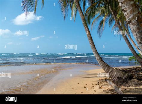 Caribbean Beach In Puerto Viejo Costa Rica Stock Photo Alamy