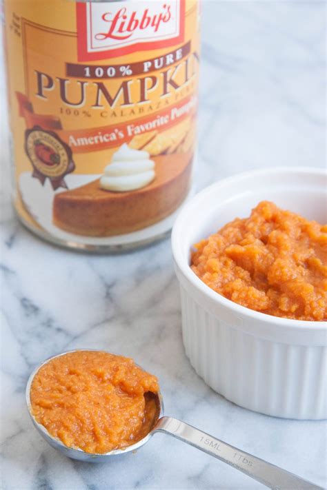 Smart Ways To Use Leftover Canned Pumpkin Pur E Canned Pumpkin