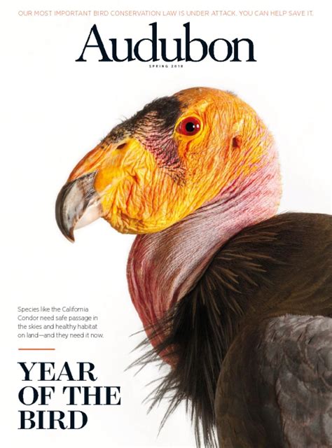 Audubon Magazine | Birds and Nature - DiscountMags.com