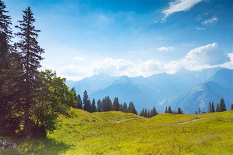 200 Braunwald Stock Photos Pictures And Royalty Free Images Istock