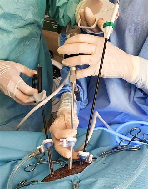 Chirurgie Mini Invasive Biovet Amou