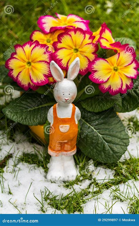 Easter Rabbit In Snow Waiting For Eastern Stock Image Image Of Orange