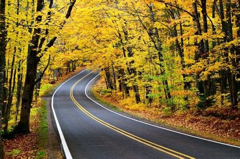 11 Breathtaking Fall Color Tours In Michigan Including The Ultimate