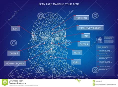 Face Mapping For Acne Cute Man Cartoon Face Illustration 226769932