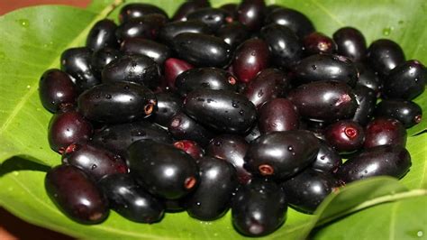 5 Rules You Should Never Break To Reap Benefits Of Jamun Healthshots
