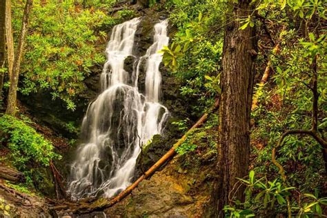 5 Of The Best Hiking Trails In The Smoky Mountains For Kids