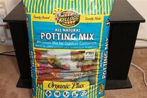 Kelloggs Potting Soil For Seed Starting My View From The Woods