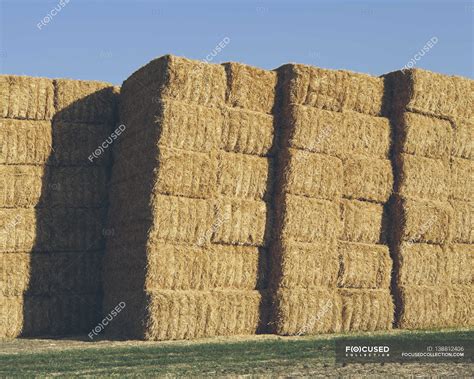 Stacked Hay Bales — Straw Farm Stock Photo 138812406