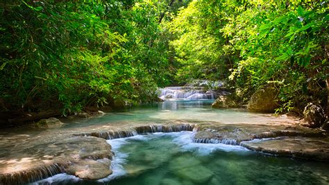Beautiful Forest Stream Stepped Waterfalls Clearer Water Rock Forest