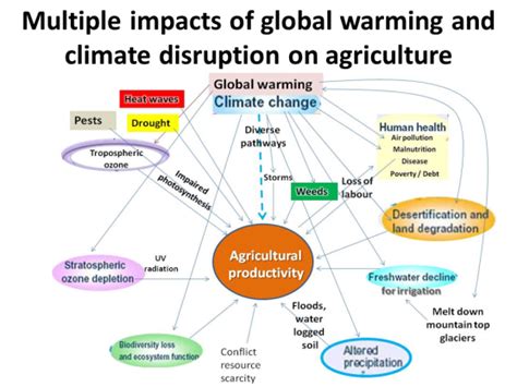 See related tags below and find more film lists by similar to climate change topic. The adverse impact of Climate change on food security ...