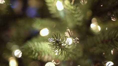 Christmas Tree Bokeh Free Download Youtube