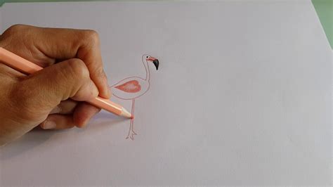 Como Desenhar Um Flamingo Super Facil E Fofo Kawai YouTube