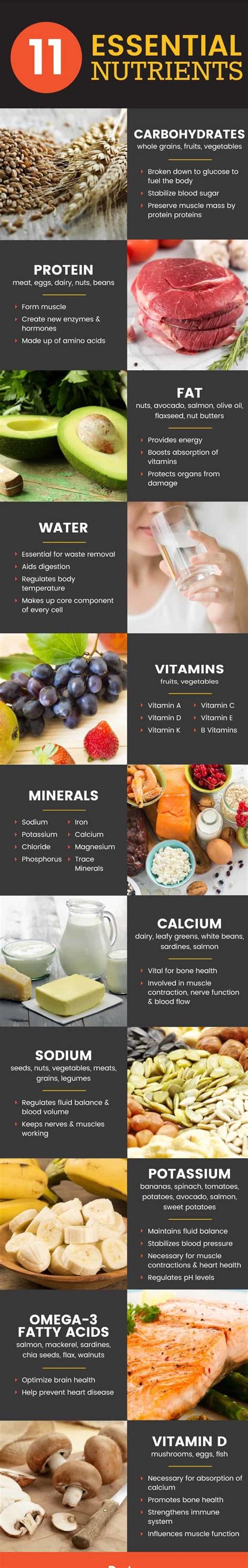 Essential Nutrients Your Body Needs Now Safe Home Diy