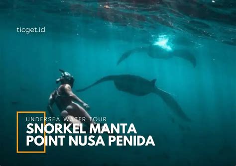 Snorkel Manta Point Nusa Penida Booking Tour And Ticket Ticgetid