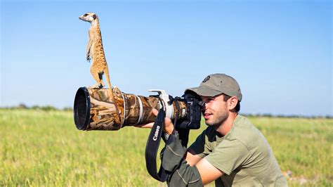 top 10 best camera for wildlife photography youtube