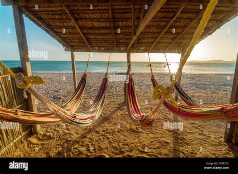 Bright Colorful Hammocks On The Beach At Sunset Stock Photo Alamy