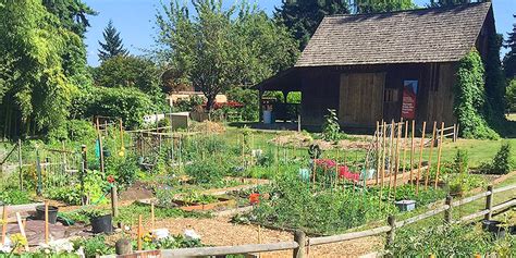 To view the fulham park gardens conservation area please use the links below. KUOW Spotlight: McAuliffe Park Learning Garden : King ...