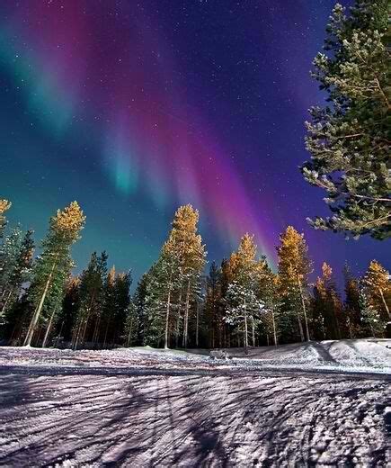 The Aurora Bore Is Visible In The Night Sky Above Snow Covered Ground