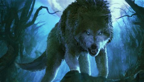Fantasy Wolf In Night Forest By 0oki