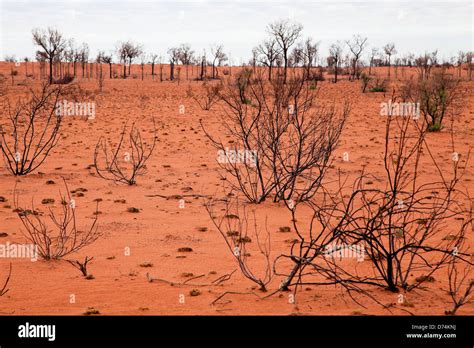 Kata Tjuta Ayers Rock Aborigines Heiliger Ort Uneso Welterbe Wüste