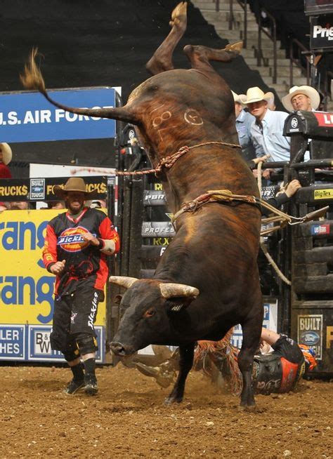 19 Best Ride That Bull Images Bull Riding Rodeo Life Bull Riders