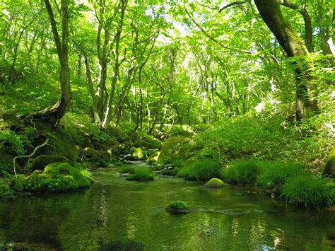 Explore Nikko National Park National Parks Of Japan