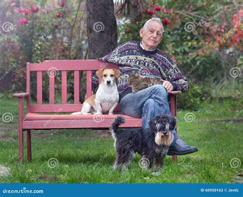 Senior Man With Dogs And Cat Stock Image Image Of Friends Male 60950163