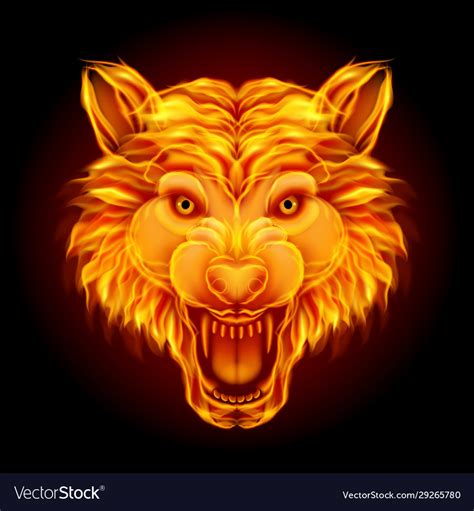 Fire Wolf Head Isolated On Black Background Vector Image