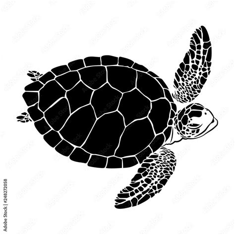 Graphic Sea Turtle Vector Illustration Of Sea Turtle Stock Vector