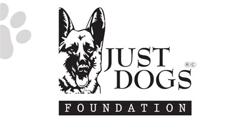 Just Dogs Foundation Proudly Teams Up With Zomato Feeding India ‘food