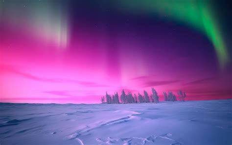 Premium Ai Image A Northern Lights Aurora Borealis Over A Snowy Field