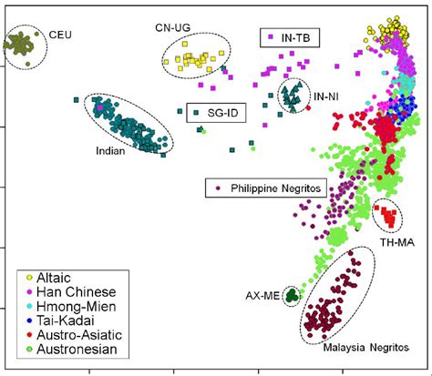 Filegenetic Diversity In Asia Fig 2 B Wikimedia Commons
