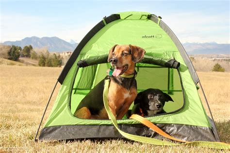 Top 5 Camping Essentials For Dogs Stocking Stuffer Giveaway Day 1