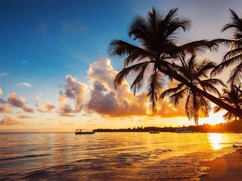 Tropical Beach Punta Cana Dominica Dominican Republic Palm Trees Ocean Waves Gold Sunset