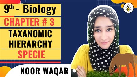 Taxonomic Hierarchy Chapter 3 Biodiversity 9th Class Biology Youtube