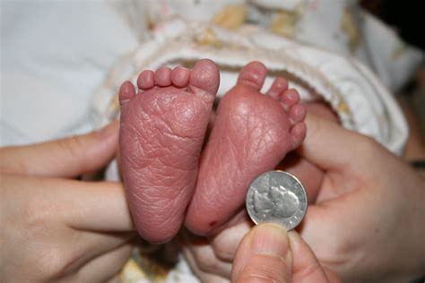 Baby Feet 1 Day Old Jencu Flickr