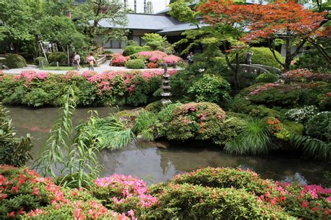 Cada Vez Más Enamorado De Los Jardines Japoneses Jardin Japones