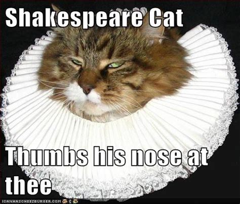 Shakespeare Cat Lolcats Lol Cat Memes Funny Cats Funny Cat