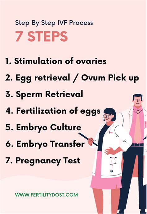 Tips For Successful Embryo Transfer What To Do Before And After Embryo